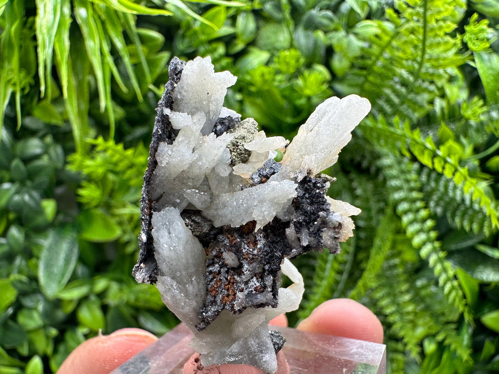 Green Quartz with Galena Chalcopyrite: Madan Bulgaria Mineral Decor