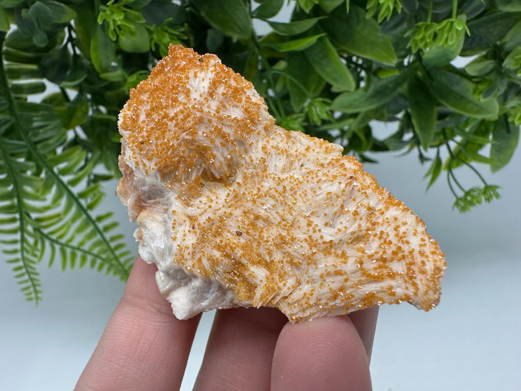Red Vanadinite on Barite Crystal Specimen from Morocco, Mineral Cluster