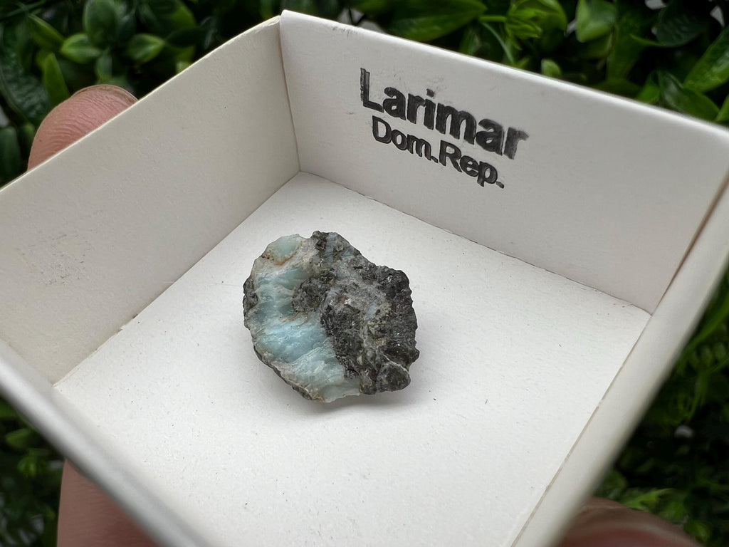 Rare Raw Larimar Specimen: Dominican Republic Mineral Collection (20/15mm)
