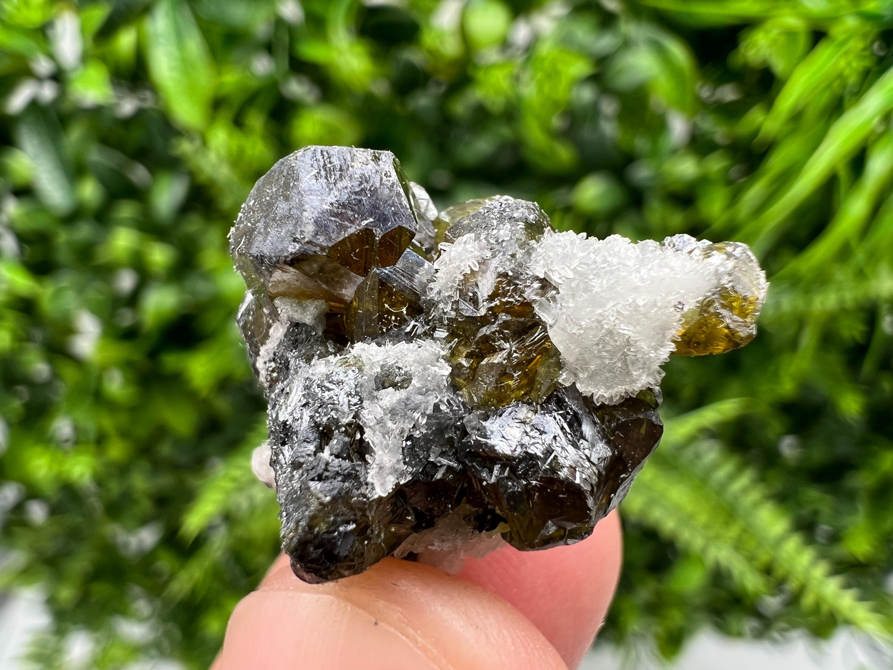 Cleiophane Sphalerite Gem: Rare Transparent Crystal, Bulgaria