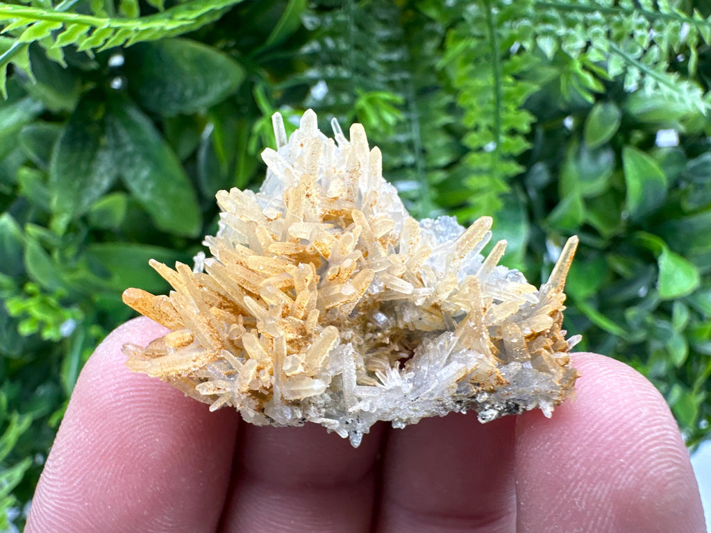 Limonite Coated Quartz Crystal Cluster, Natural Mineral Specimen