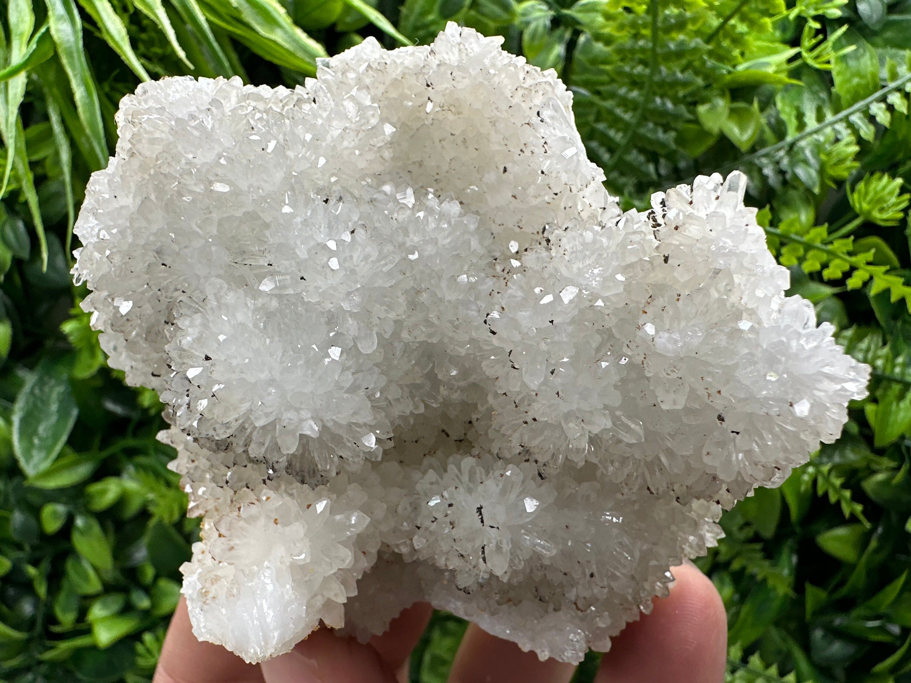 Transparent Quartz Cluster, Natural Minerals, Bulgaria