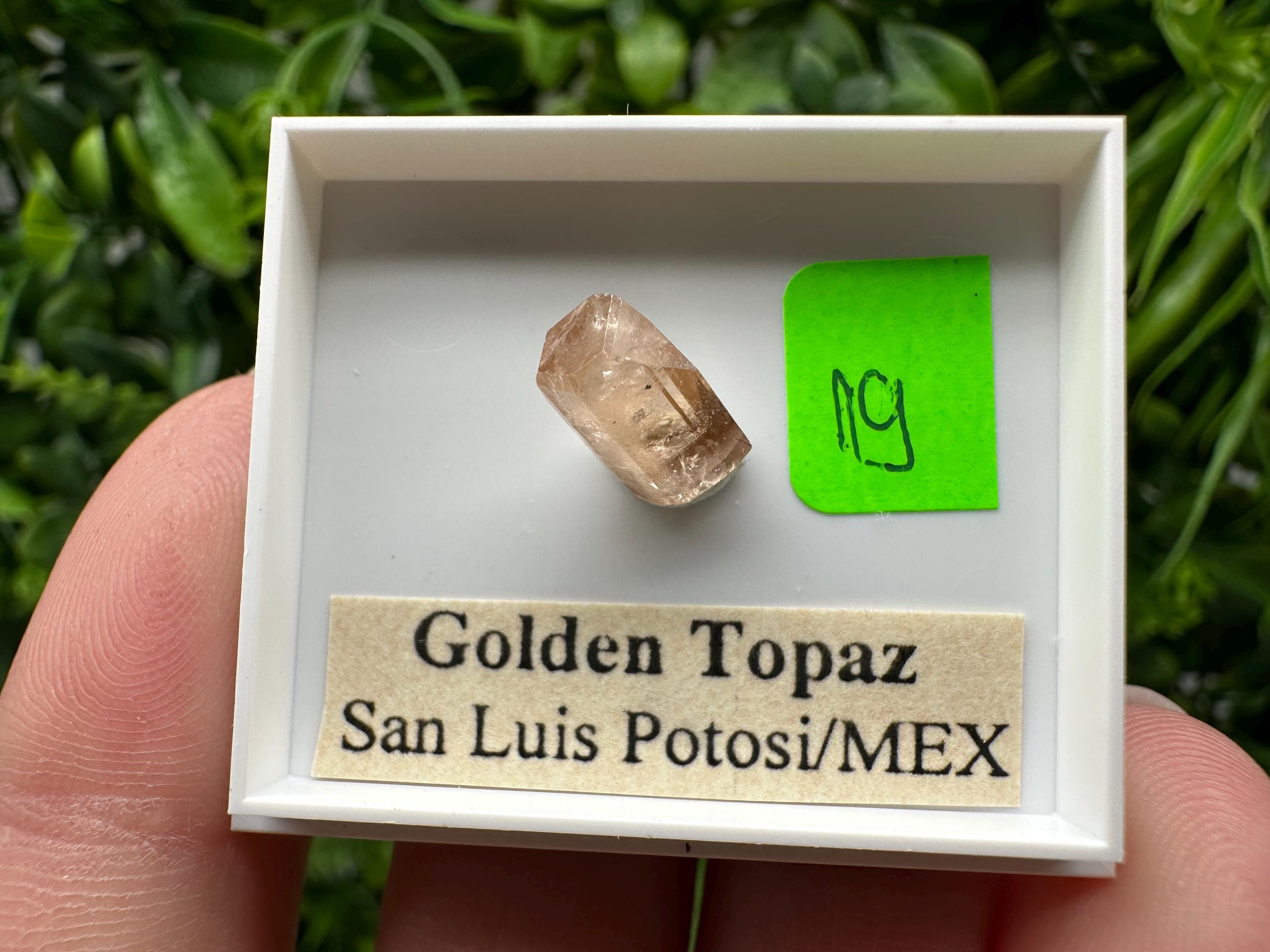 Golden Topaz Crystal, Mineral Specimen from Mexico