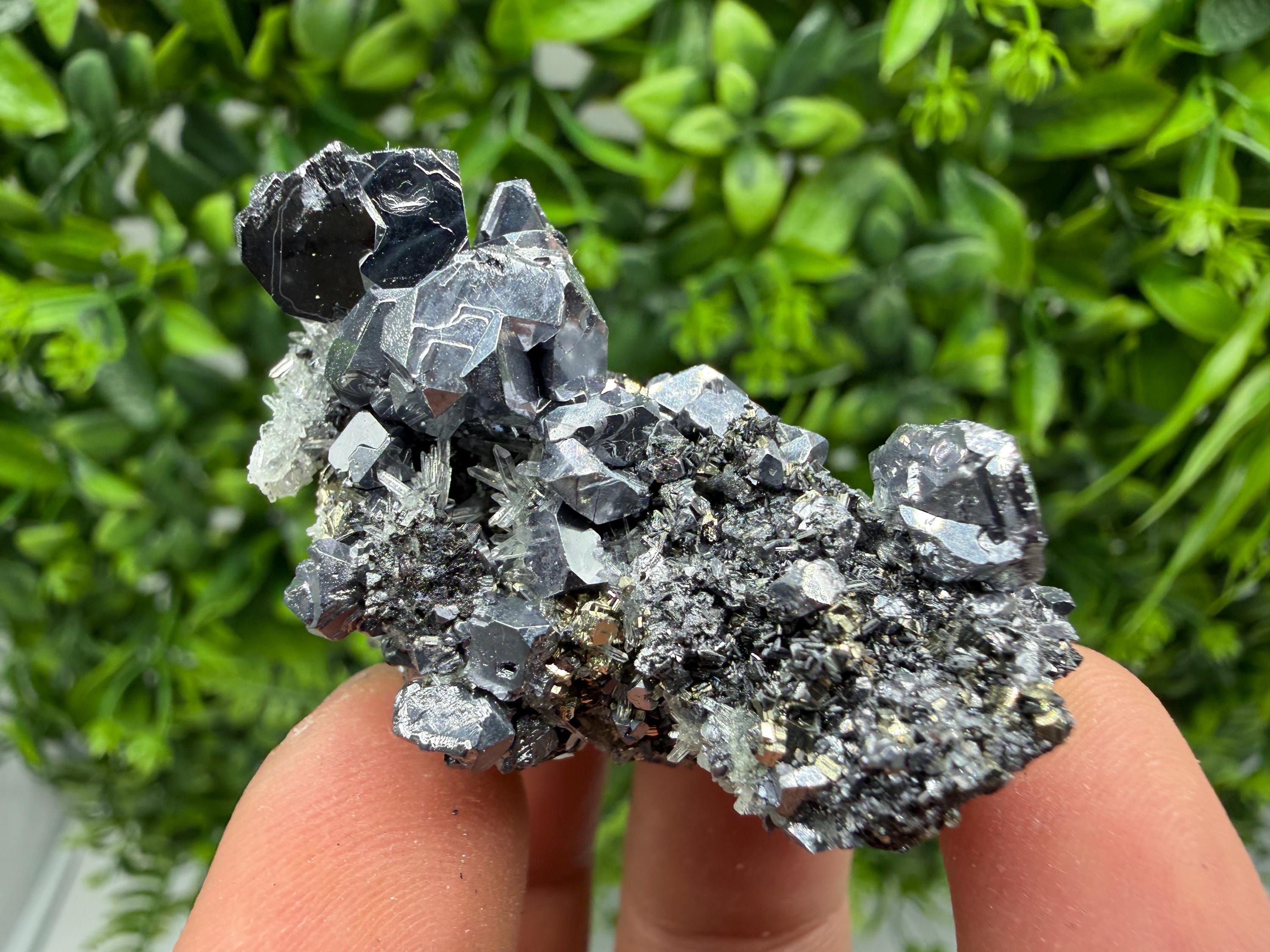 Shiny Galena Cluster, Borieva Mine, Madan Bulgaria
