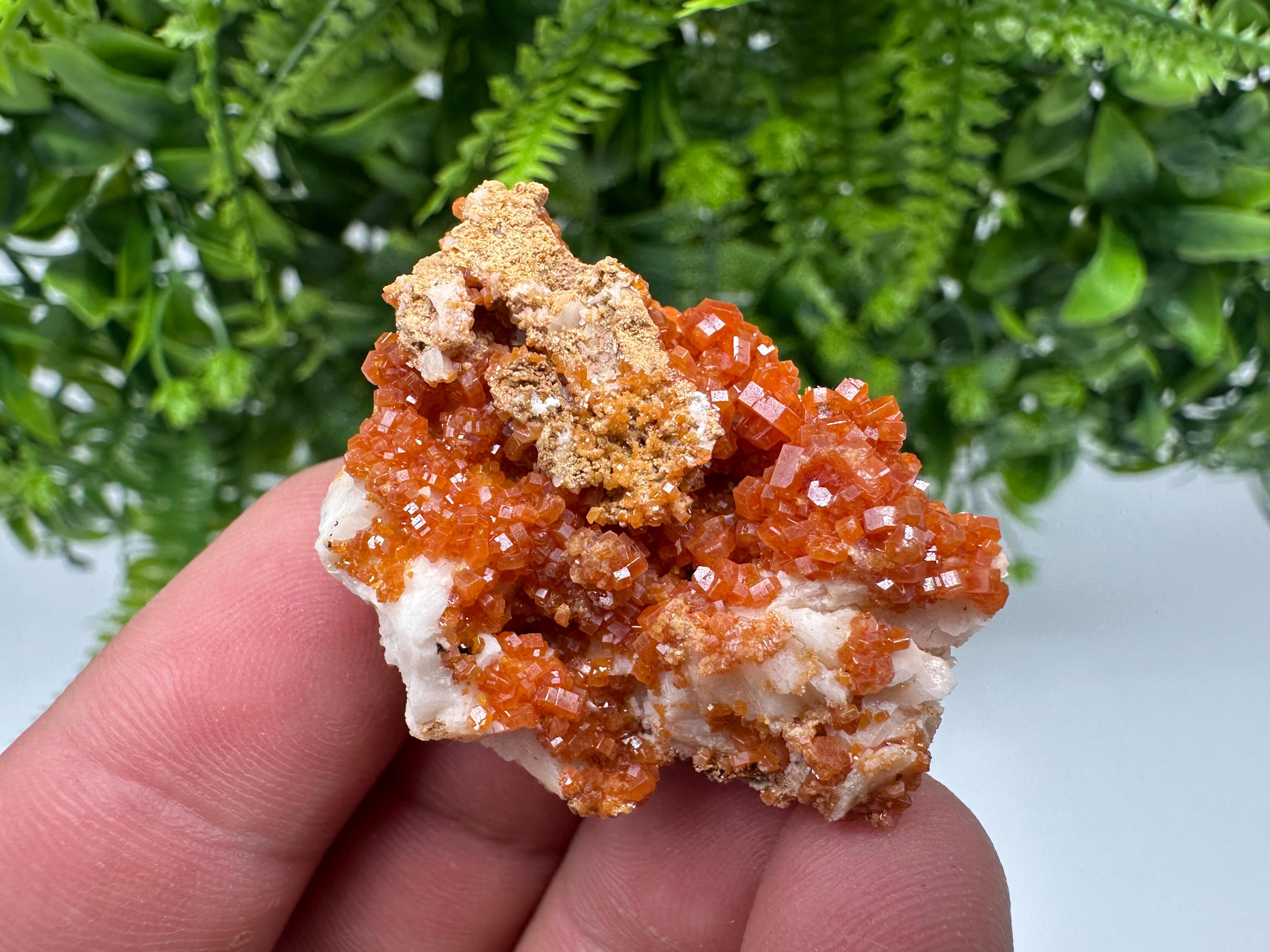 Red Vanadinite on Barite, Morocco Crystal Specimen
