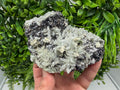 Pyrite Sphalerite Quartz  Mineral Specimen, Krushev dol Mine