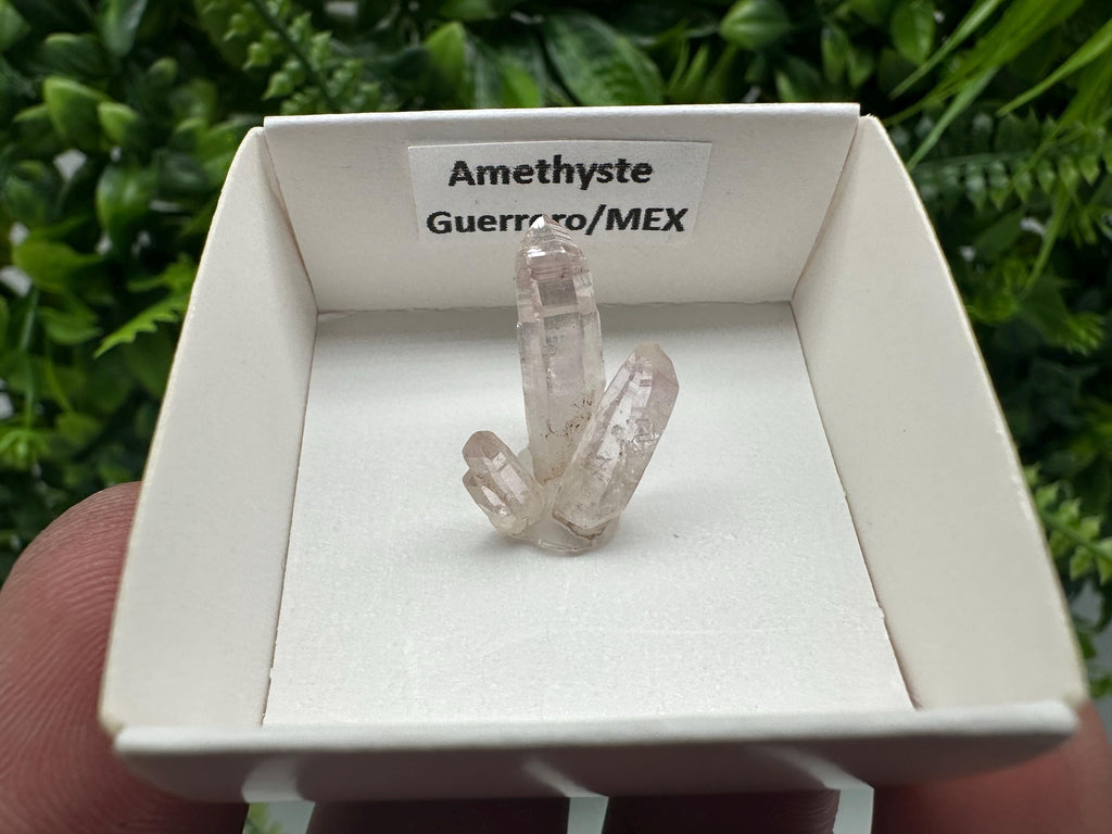 Mexican Amethyst Cluster: Mineral Specimen, Crystal Collection