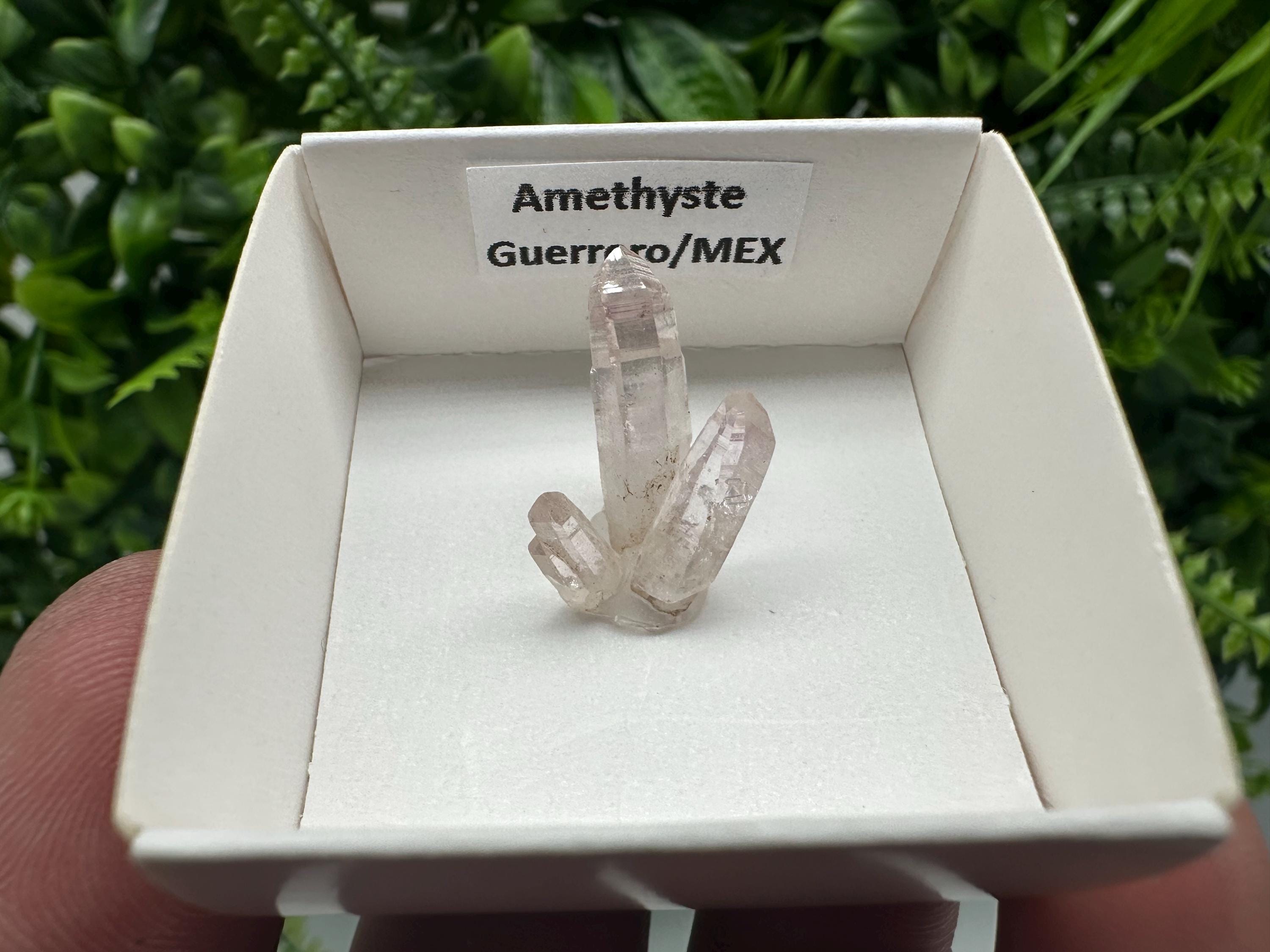 Mexican Amethyst Cluster: Mineral Specimen, Crystal Collection