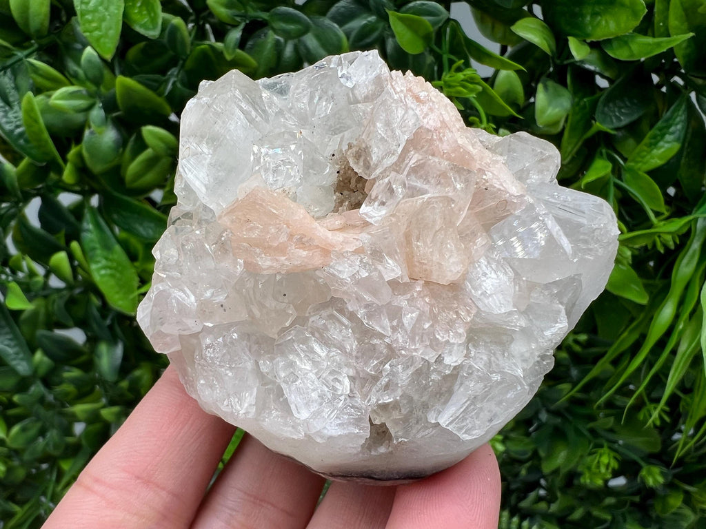 Apophyllite Stilbite on Chalcedony Specimen, India Crystal