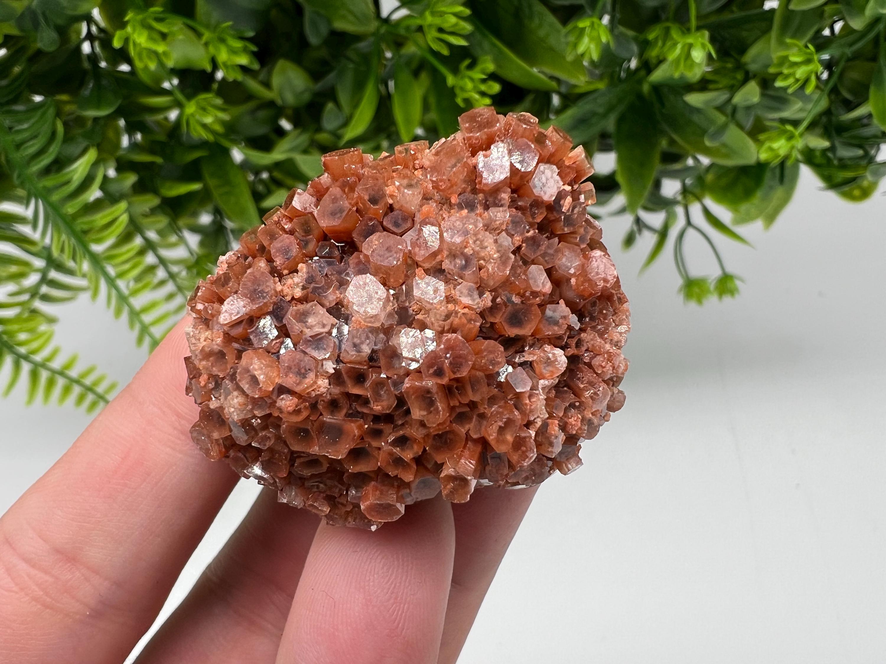 Extra Large Aragonite Sputnik Cluster: Raw Moroccan Crystal Decor