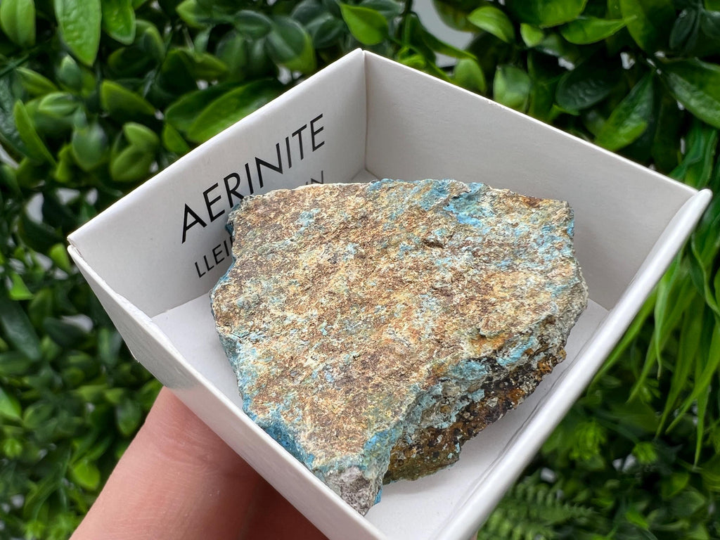 Rare Raw Aerinite Mineral Specimen: Collection Crystal from Lleida, Spain (3.5/3.5 CM)