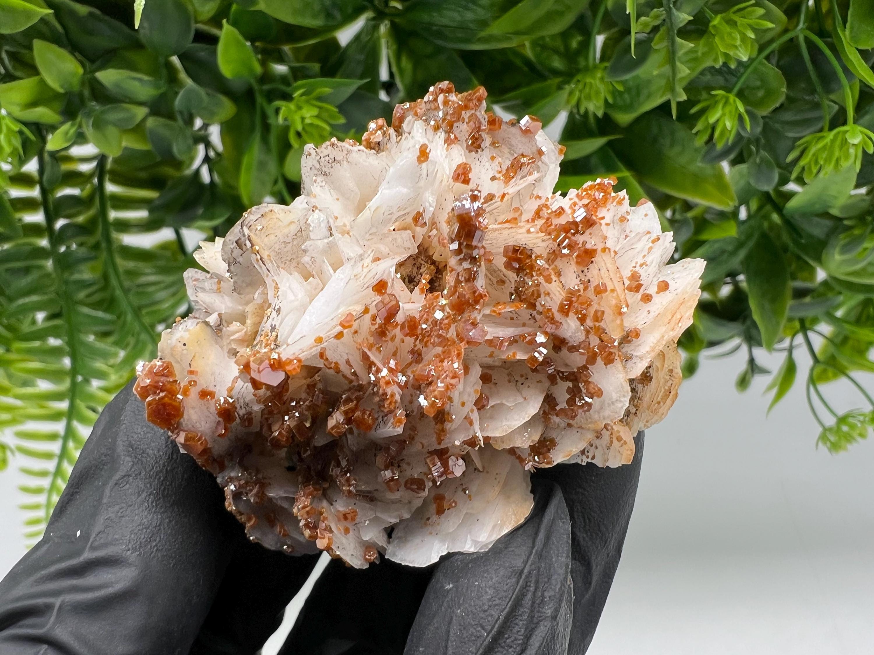 Red Vanadinite on Barite from Marocco,crystal minerals Speciment cluster Vanadinite crystal Vanadinite Geology Vanadinite cluster minerals