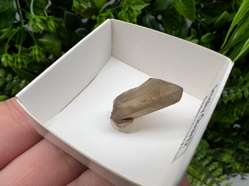 Rare Smoky Quartz Point, Fedenstock Switzerland Mineral Specimen (30MM)
