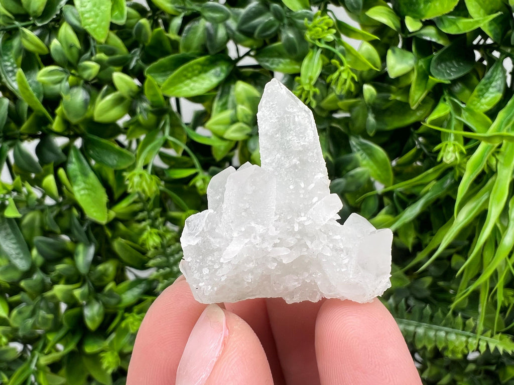 Transparent Quartz on Chlorite Matrix, Borieva Mine, Bulgaria