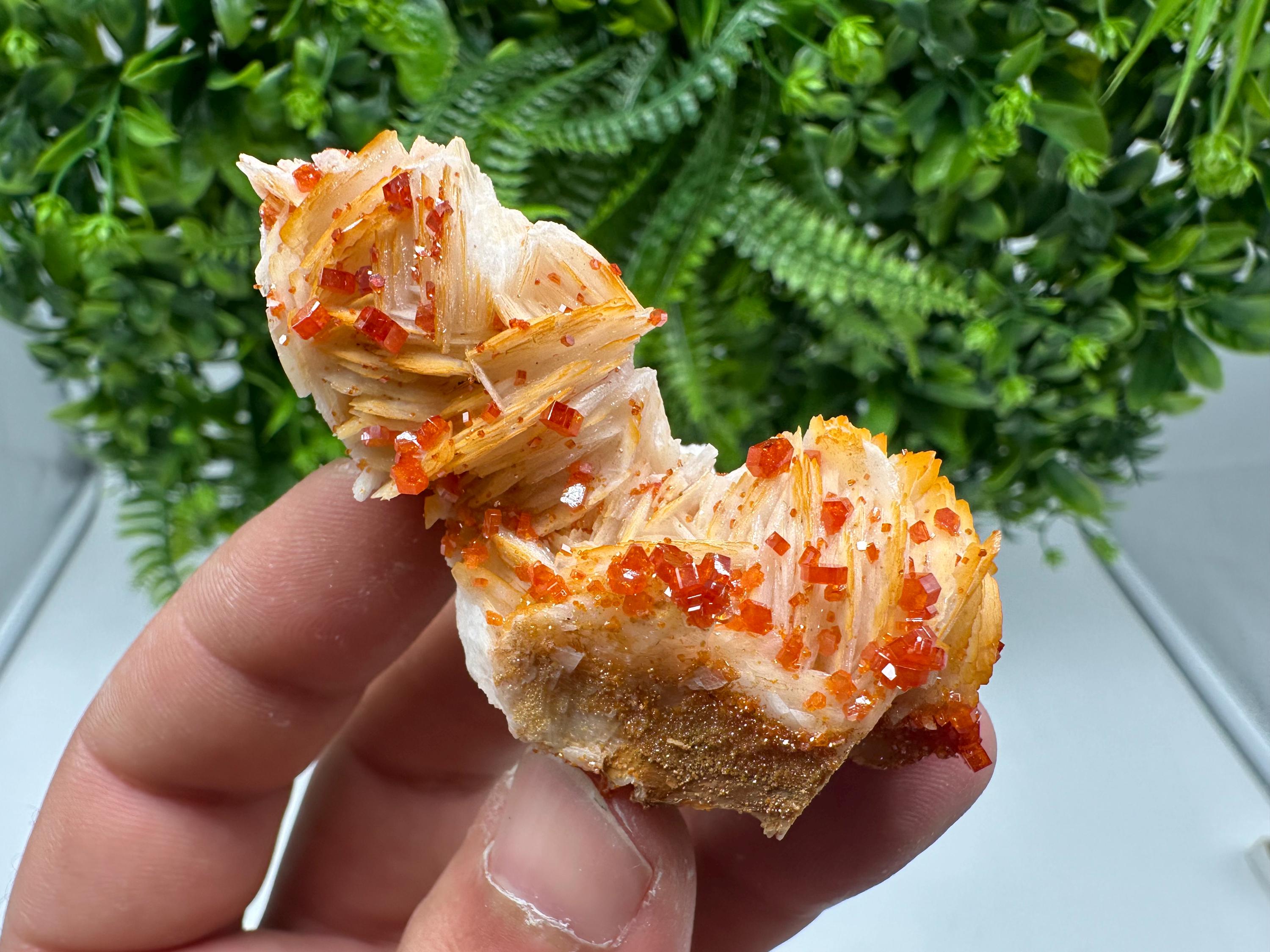 Red Vanadinite on Barite from Marocco,crystal minerals Speciment cluster Vanadinite crystal Vanadinite Geology Vanadinite cluster minerals