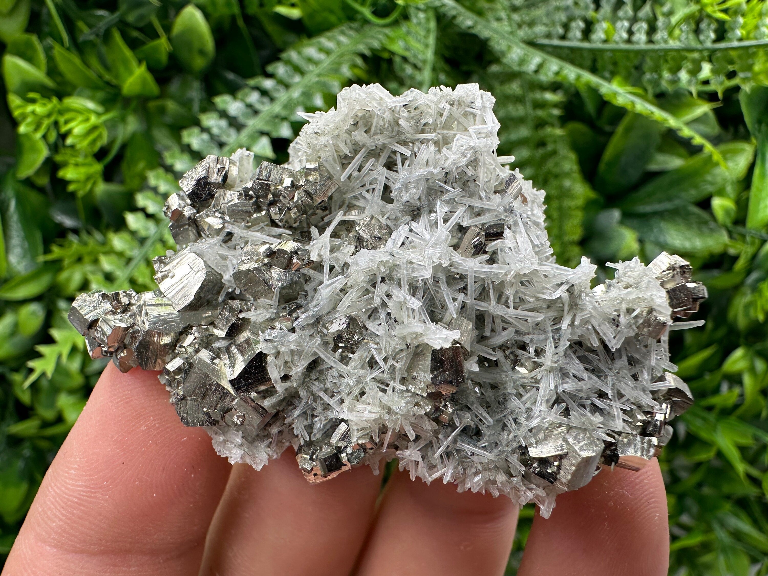 Pyrite on Green Quartz Specimen, Borieva Mine, Bulgaria