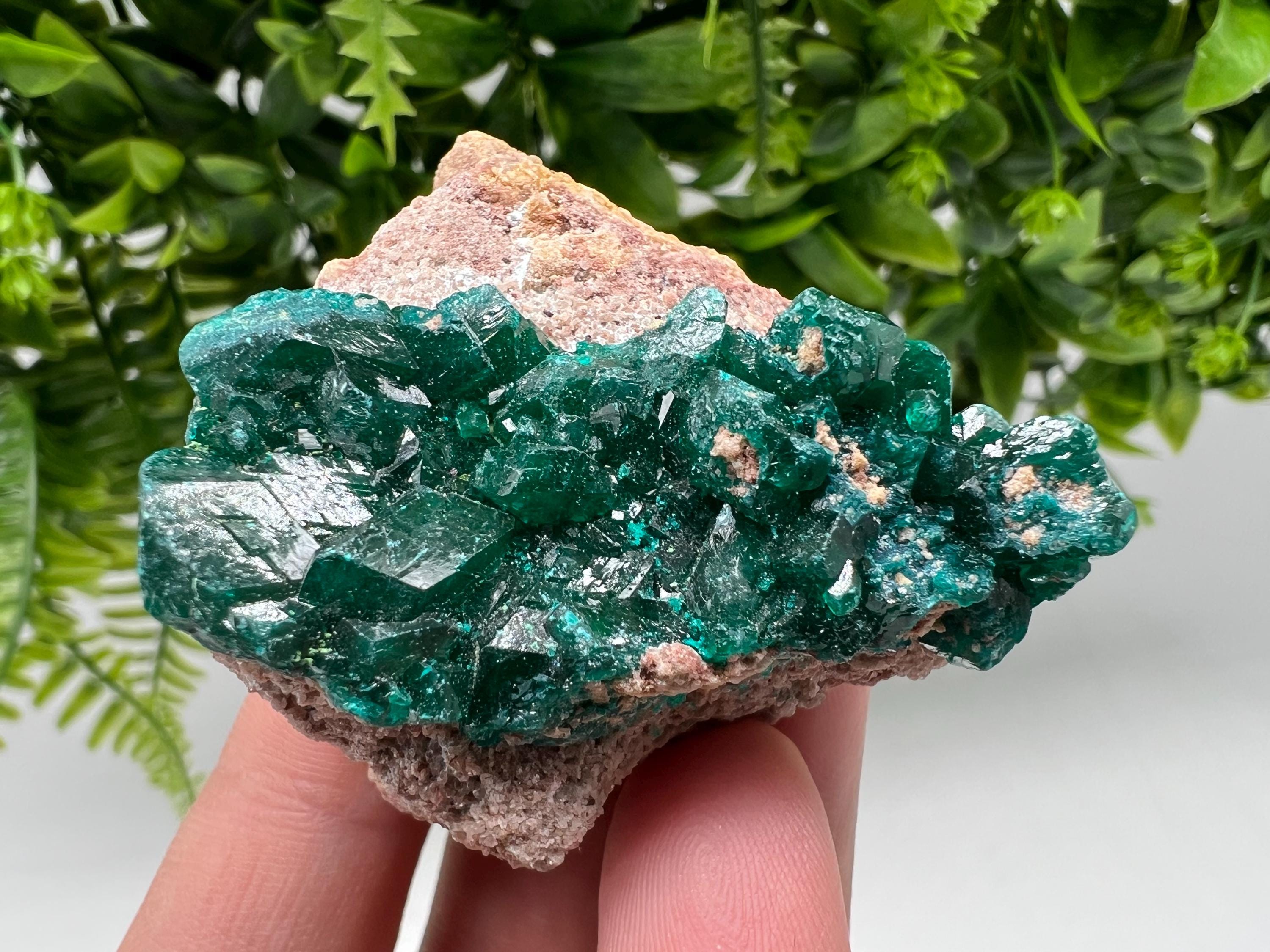 Stunning Green Dioptase from Sanda Hills,Mindouli,Pool Department,Mindouli District,Congo,green Dioptase,Dioptas Crystal,Dioptase collecting