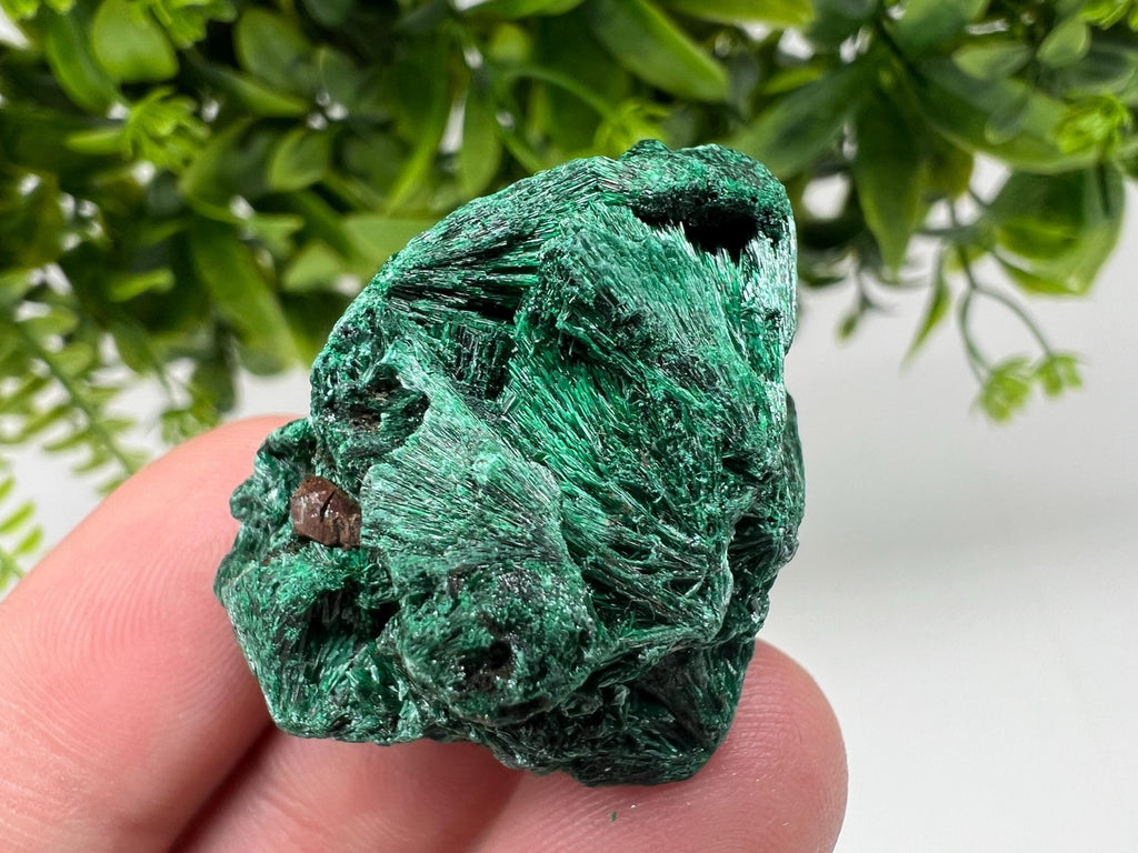 Malachite Crystal from Congo,Minerals,Crystals from Congo,Green Malachite, Malachite,Natural Malachite,Malachite Stone,Chakra, Specimens