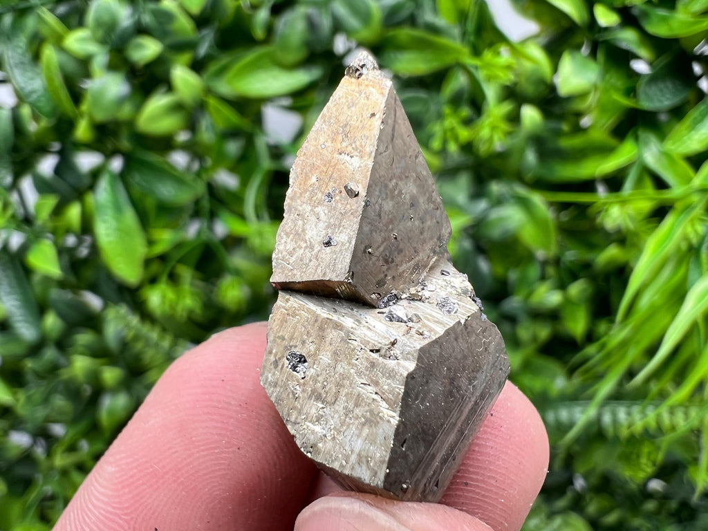 Mini Pyrite Cluster: Rare Crystallization from Borieva Mine