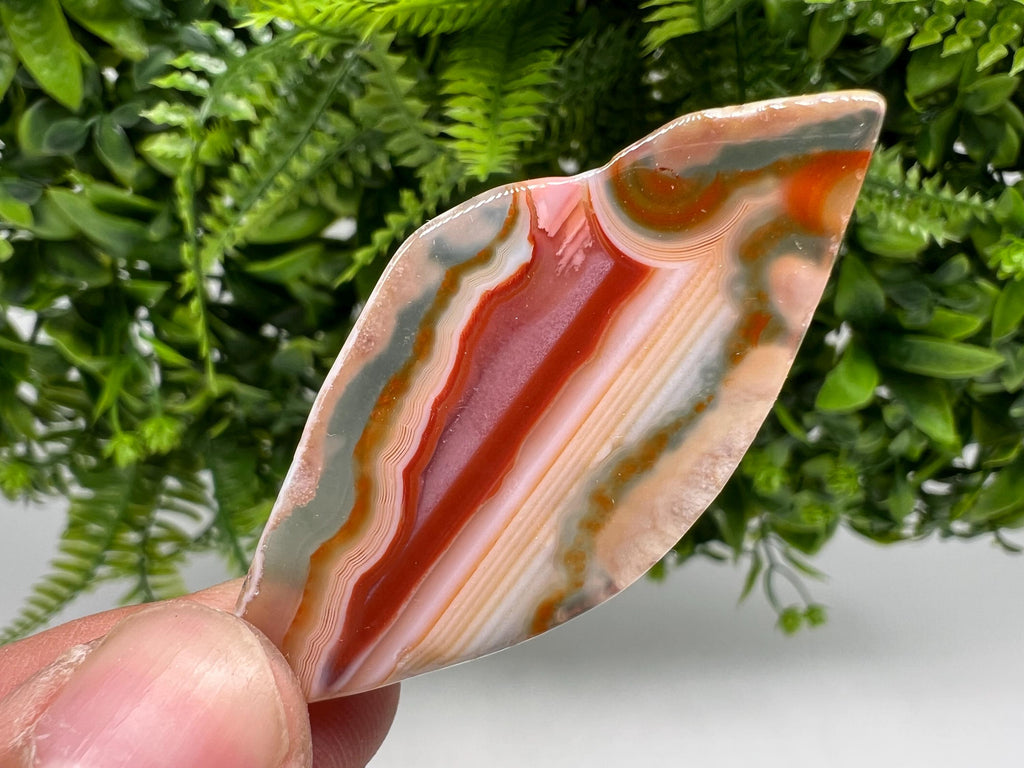 Polished Agate Slice: Spiritual Healing Crystal Coaster (3/6cm)