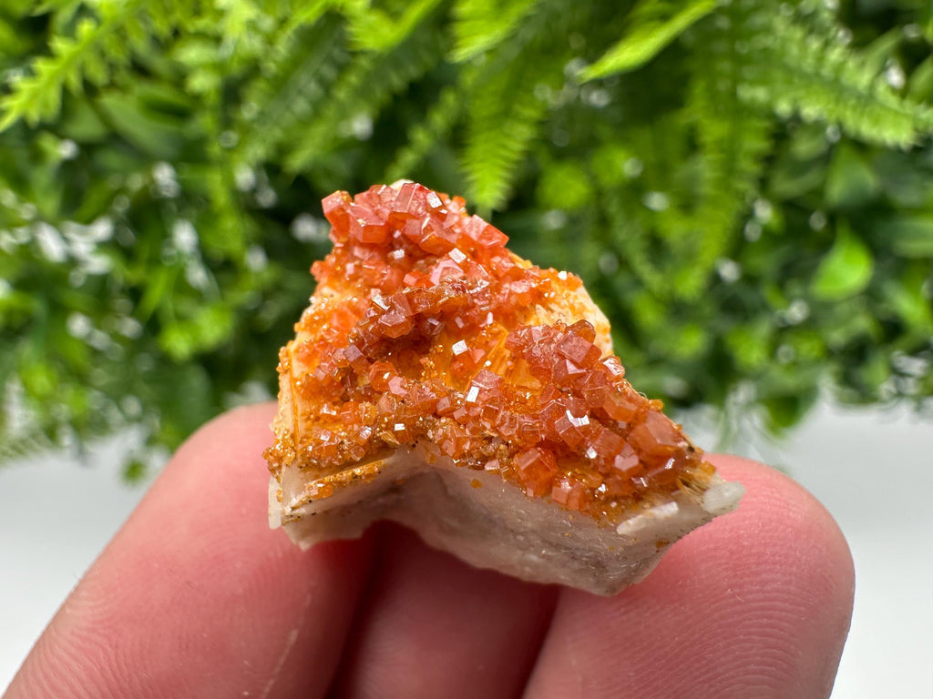 Red Vanadinite Crystal Cluster on Barite Matrix, Moroccan Mineral Specimen