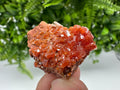 Red Vanadinite Crystal Cluster on Barite, Morocco Mineral Specimen