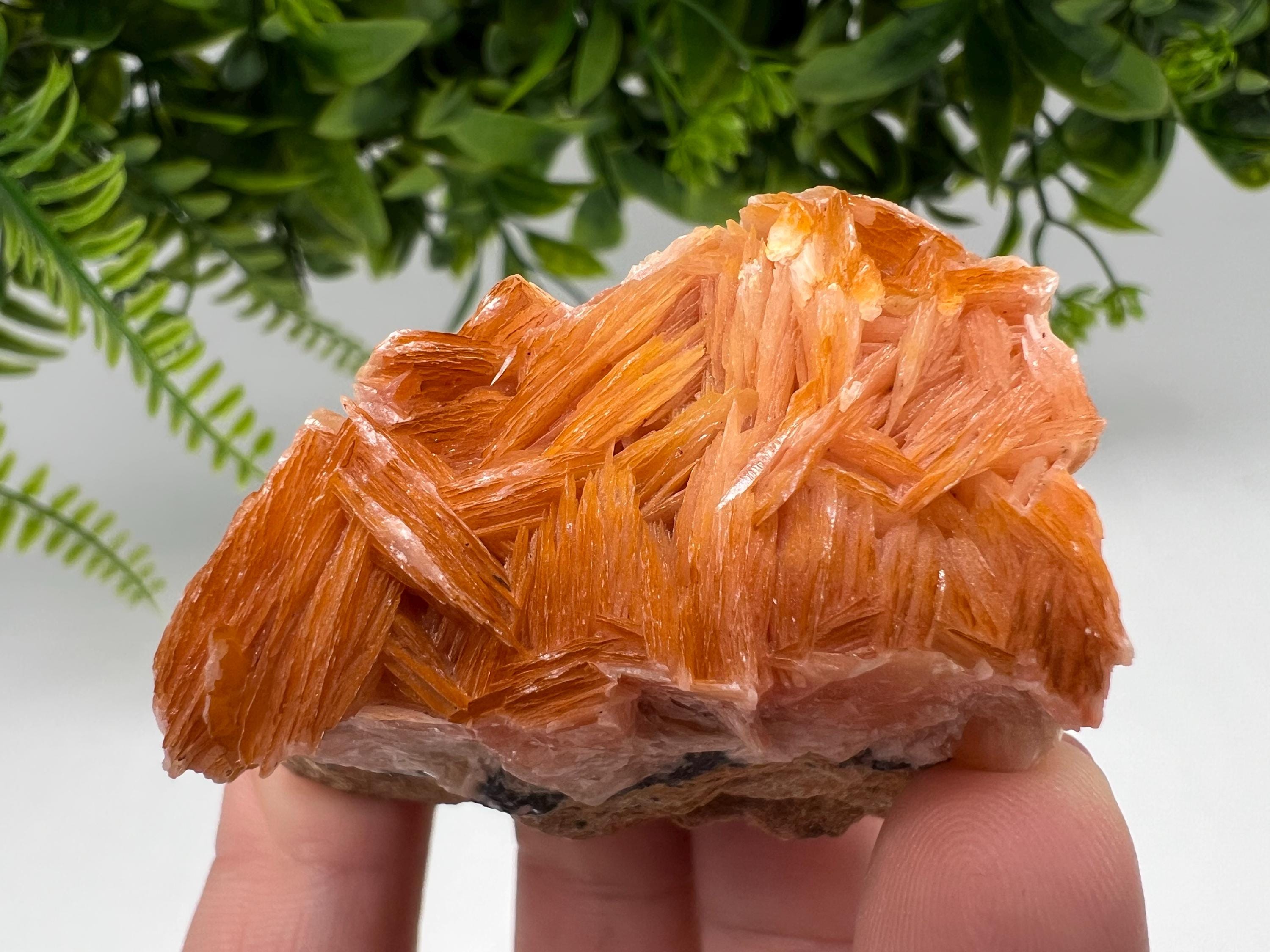 Wonderful Baryte with Cerussite on Galena from Morocco,Crystal, Mineral,Specimen,Cluster,Crystals,Barite Crystal,Cerussite Crystal,Specimen