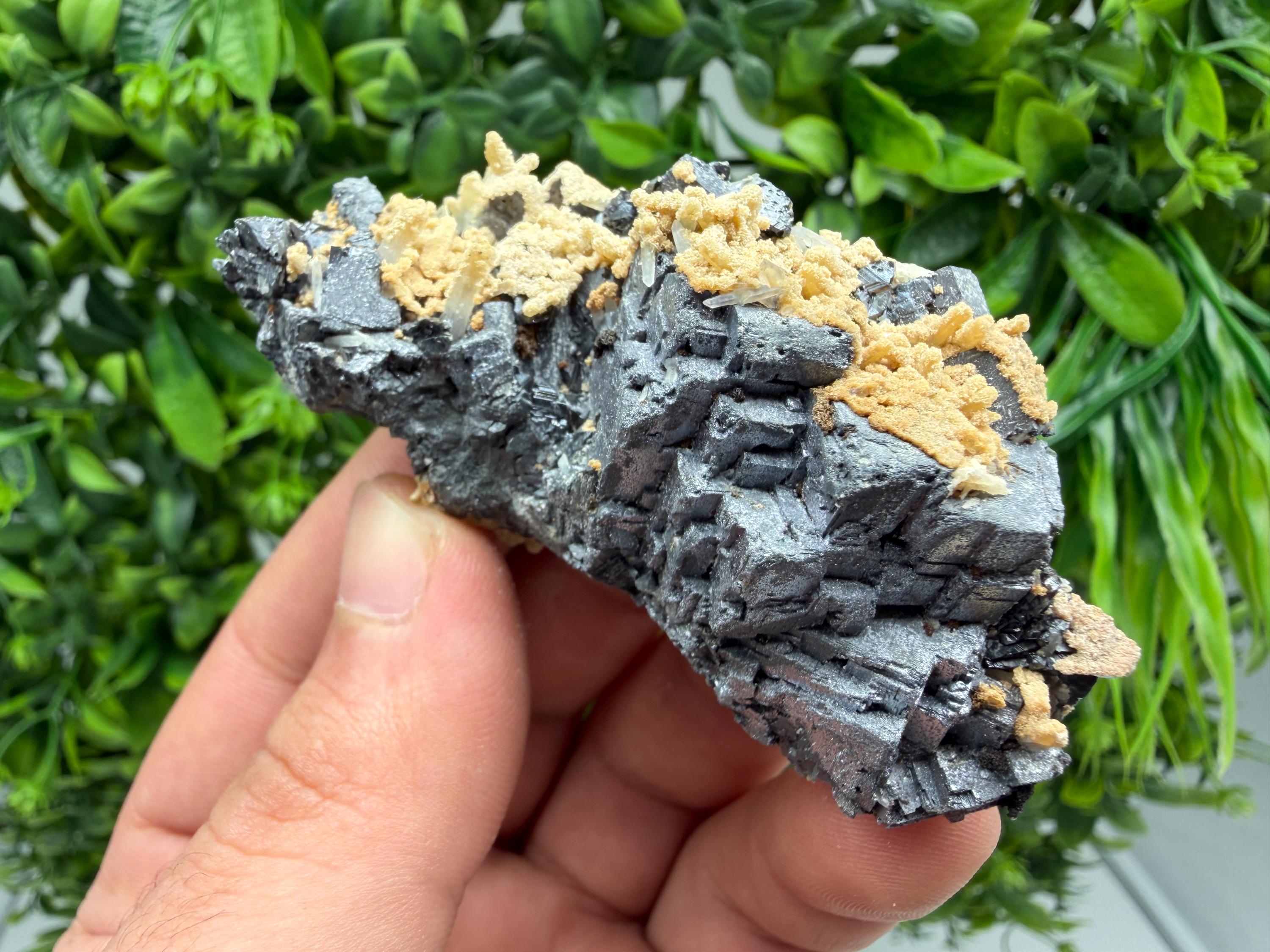 Aesthetic Natural shiny Galena whit Siderite and Quartz from 9 th September mine,Bulgaria,collection specimen,rare galena,Galena cluster