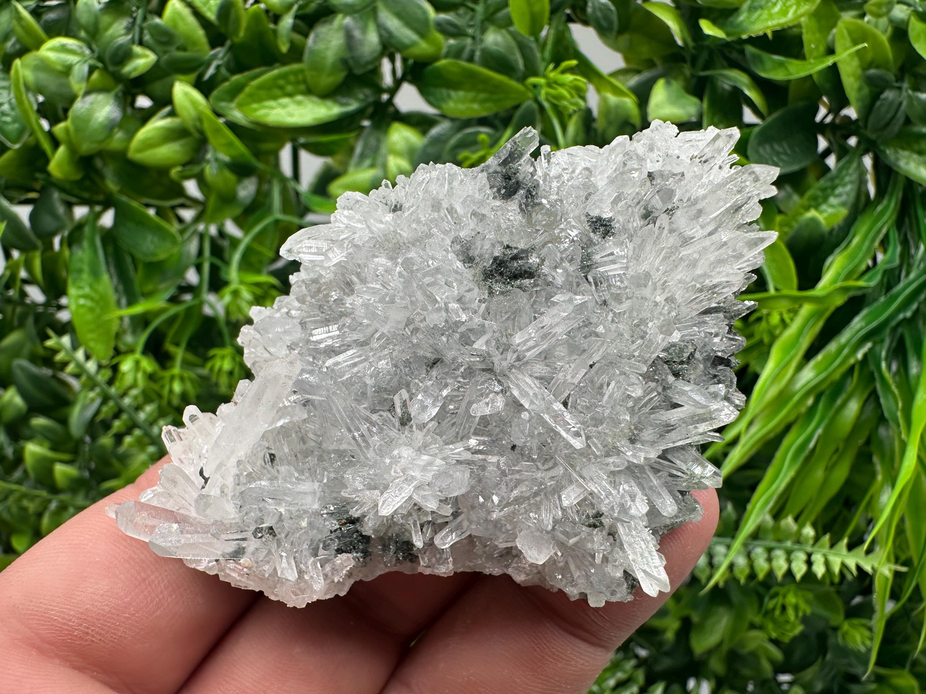 Transparent Quartz on Chlorite Matrix, Borieva Mine, Bulgaria