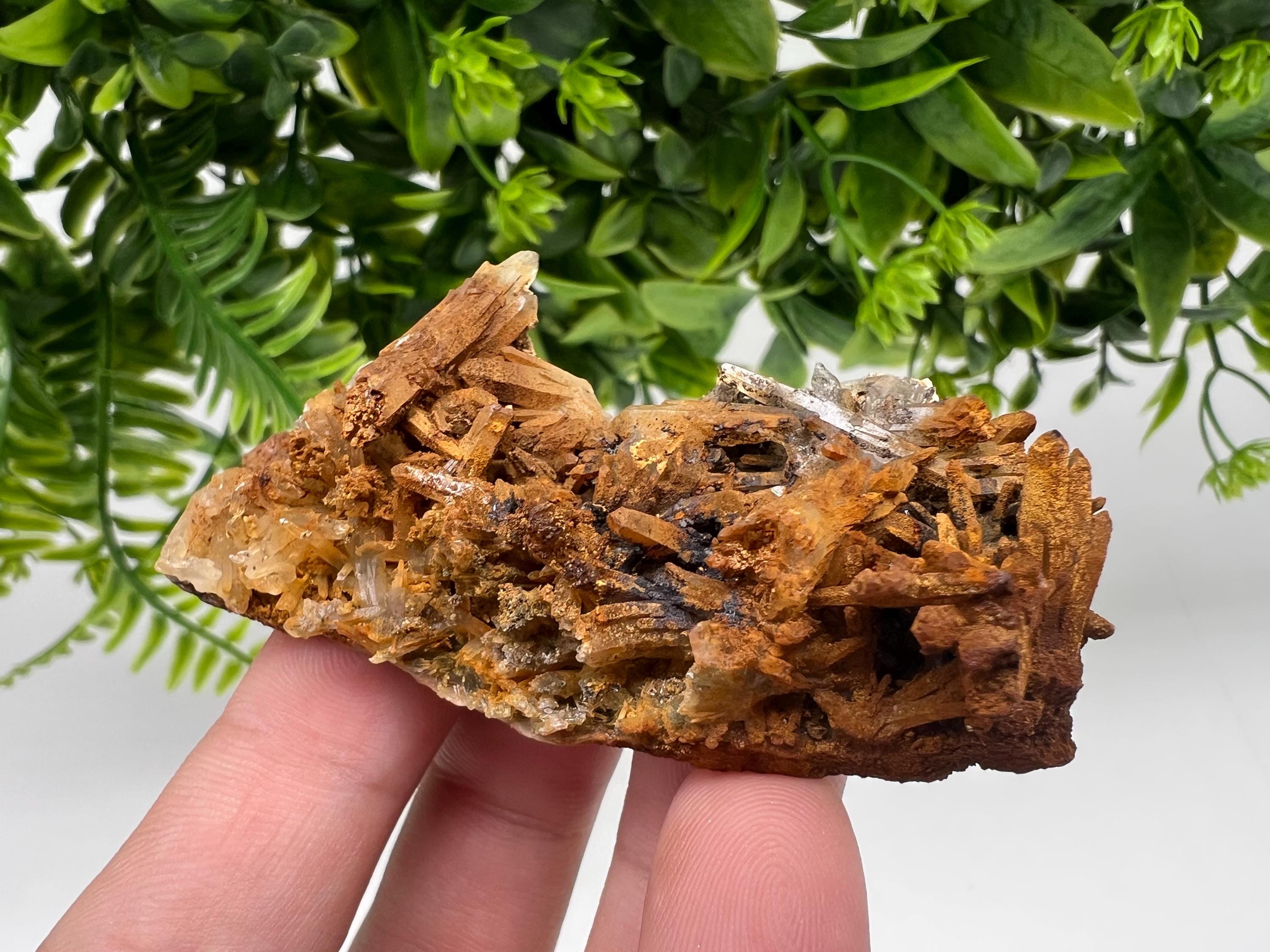 Bulgarian Quartz Specimen: Iron Oxide Limonite Mineral Collection