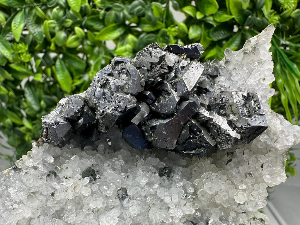 Galena on Quartz Specimen, Cleiophane Mineral, Krushev dol Mine, Bulgaria