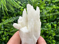 Calcite Specimen: Djurcovo Mine Cluster, Laki Bulgaria