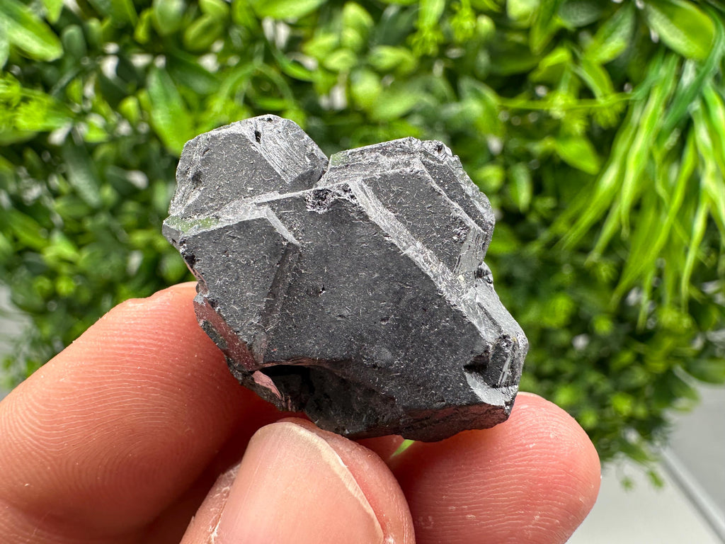 Galena Crystal Cluster from Borieva Mine, Bulgaria