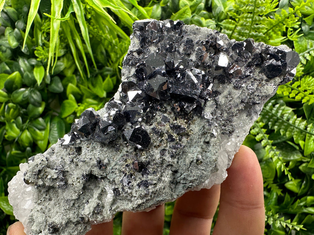 Skeletal Galena on Quartz with Pyrite - Bulgaria Crystal Decor