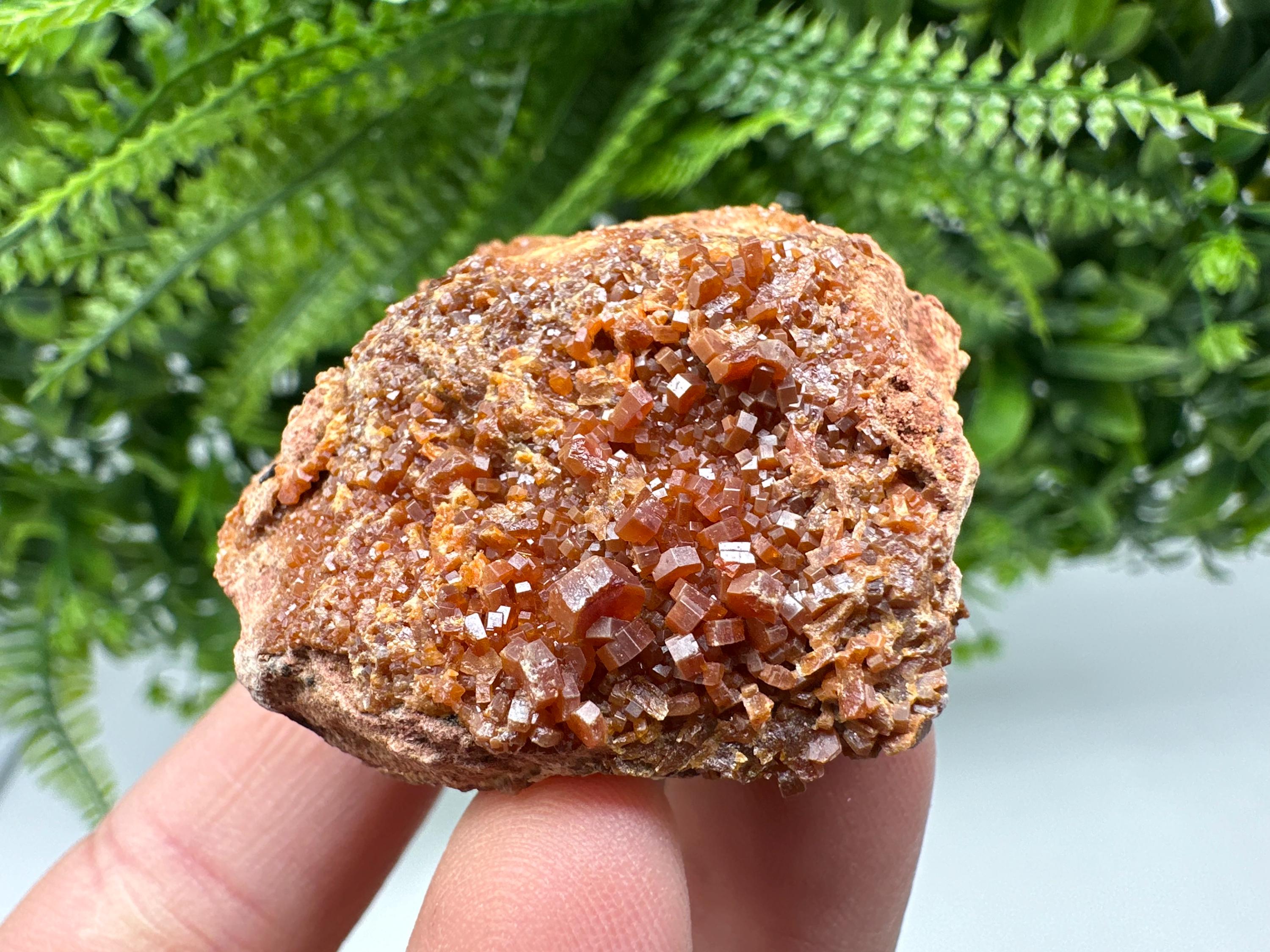 Red Vanadinite on Matrix from Marocco,crystal minerals Speciment cluster Vanadinite crystal Vanadinite Geology Vanadinite cluster minerals