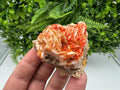 Red Vanadinite on Barite from Marocco,crystal minerals Speciment cluster Vanadinite crystal Vanadinite Geology Vanadinite cluster minerals
