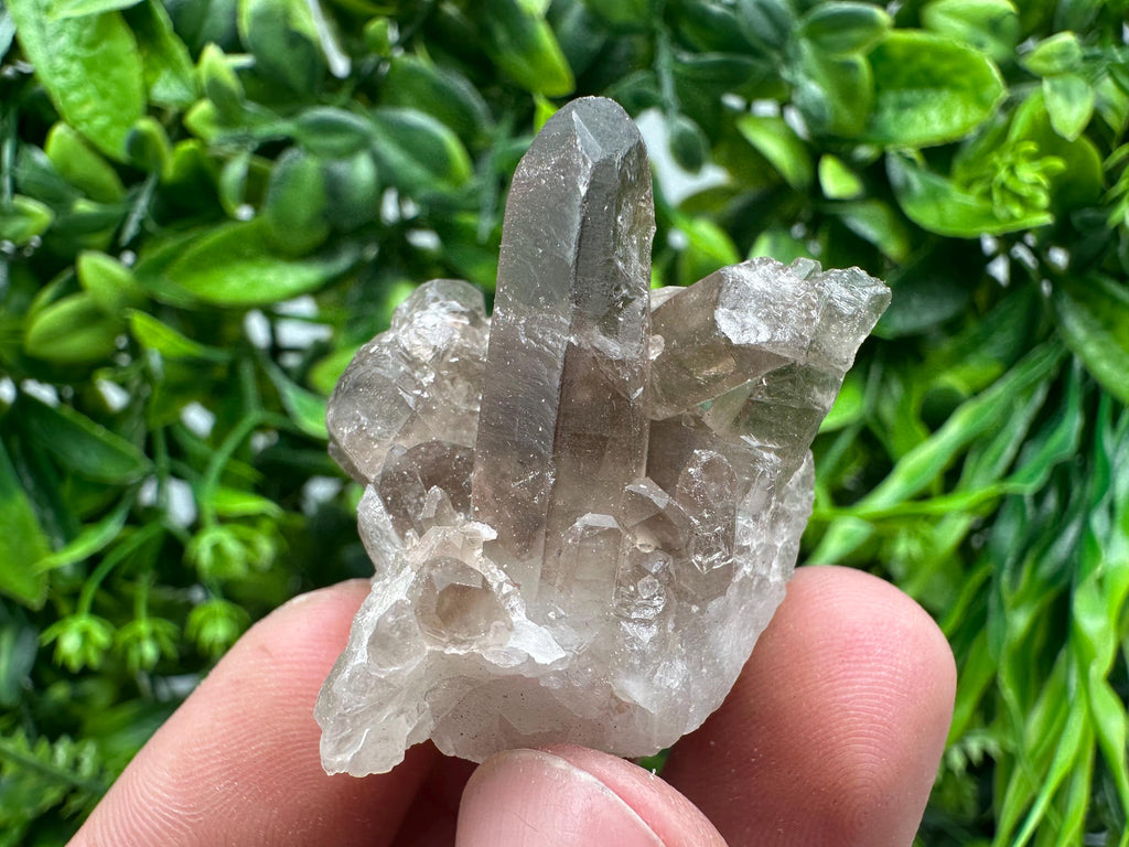 Rare Smoky Quartz Crystal Cluster, Brazil Mineral Specimen