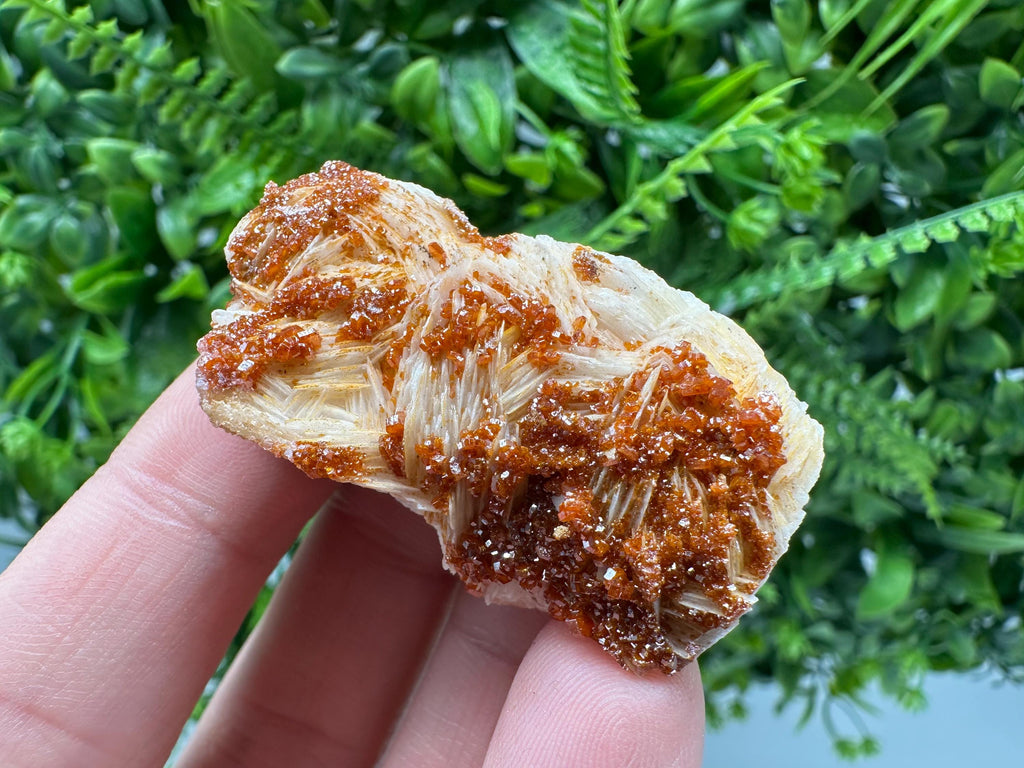 Red Vanadinite on Barite, Morocco Crystal Specimen