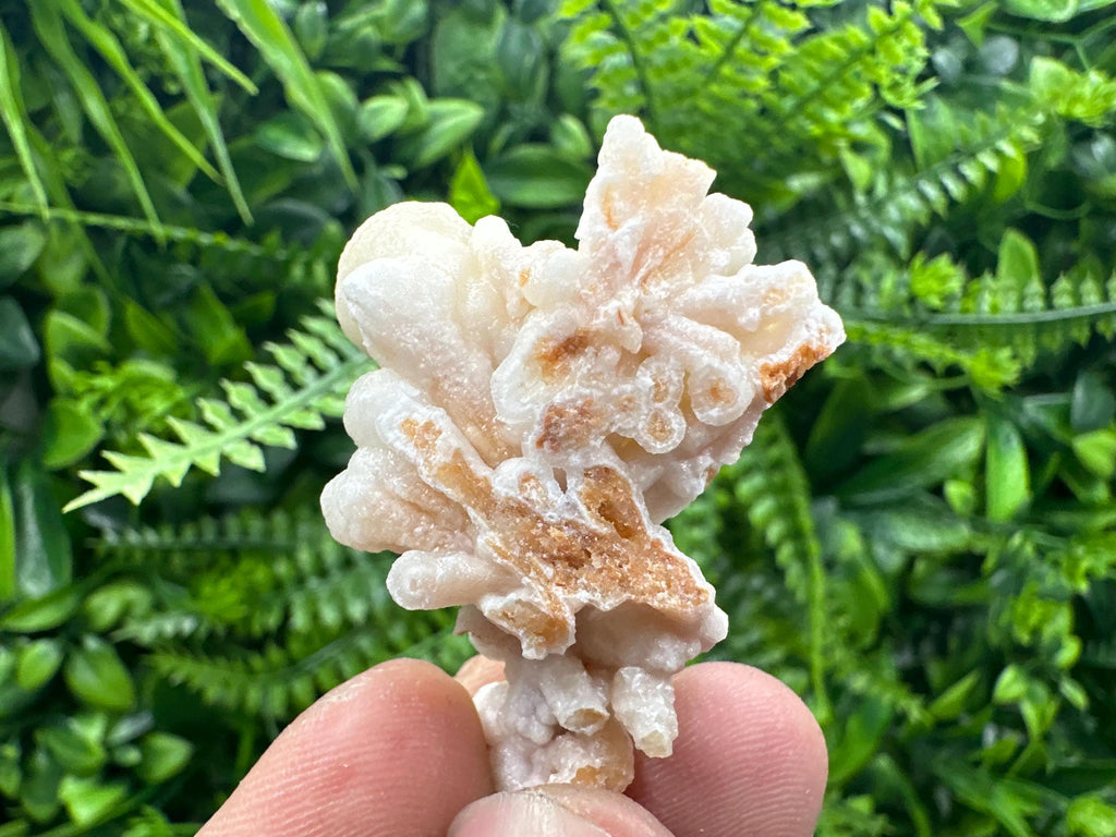 Aragonite Cluster, Bulgarian Mineral Specimen, Home Decor Stone