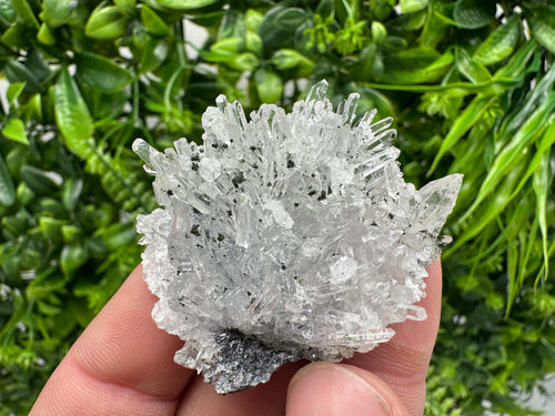 Chlorite Quartz Crystal Cluster - Borieva Mine, Bulgaria