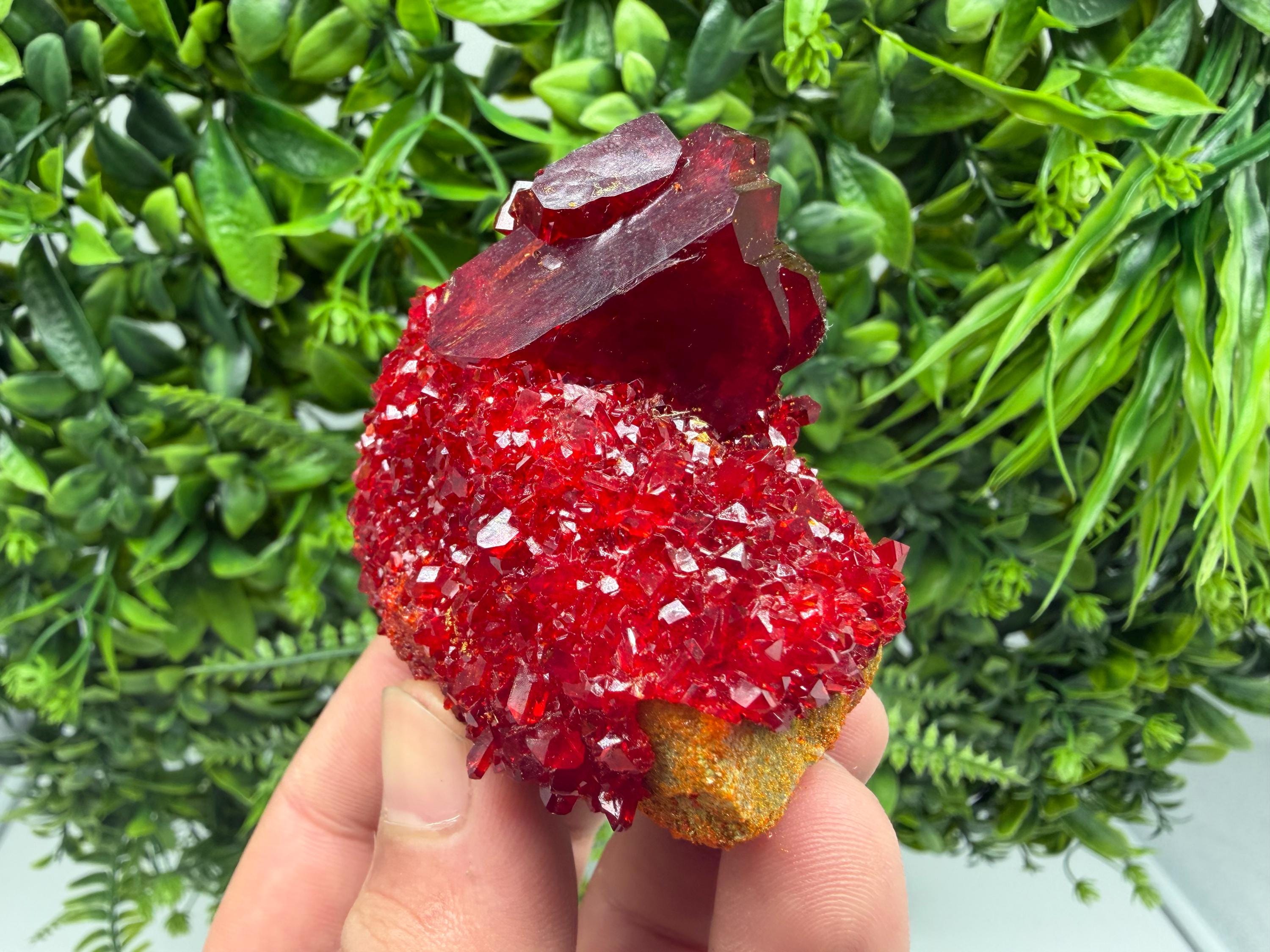 XXL Laboratory Pruskite Ruby Crystal on Matrix