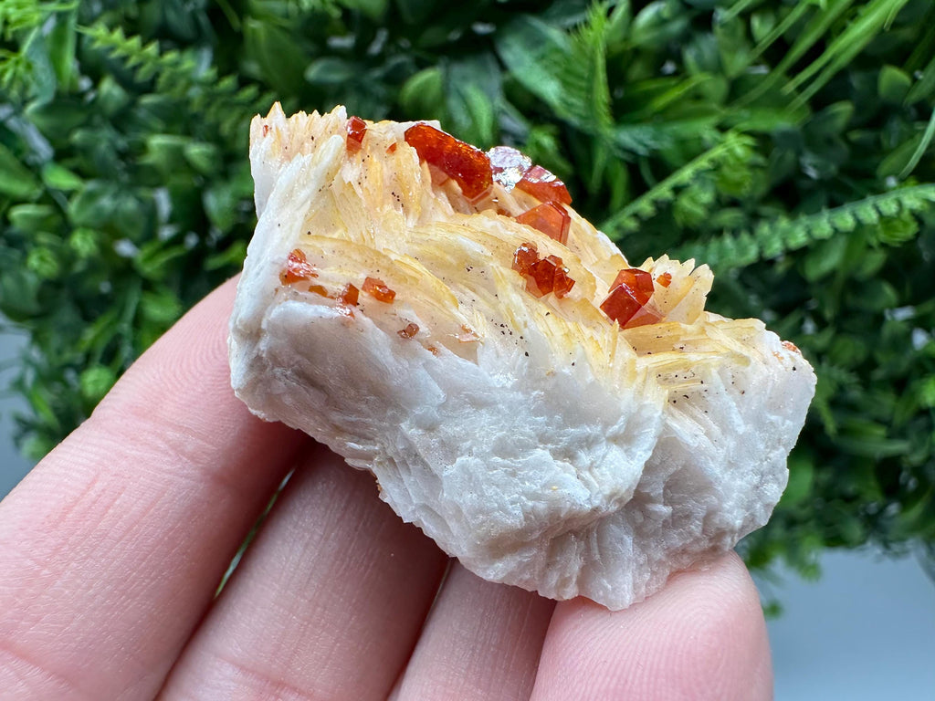 Red Vanadinite Crystals on Barite Matrix, Morocco Mineral Specimen