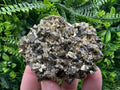 Rainbow Pyrite Cluster on Sphalerite Quartz, Borieva Mine Mineral Specimen