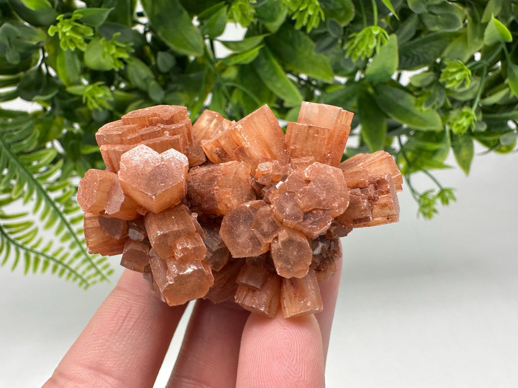 Aragonite Sputnik Cluster: Raw Moroccan Crystal Stone, Home Decor