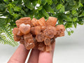 Aragonite Sputnik Cluster: Raw Moroccan Crystal Stone, Home Decor