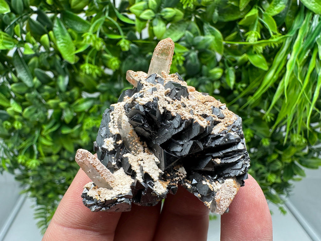 Wonderful Sphalerite Chalcopyrite on Green Quartz whit Hematite feom 9 th September mine,Bulgaria,natural,collection mineral specimen,gift