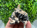 Wonderful Sphalerite Chalcopyrite on Green Quartz whit Hematite feom 9 th September mine,Bulgaria,natural,collection mineral specimen,gift