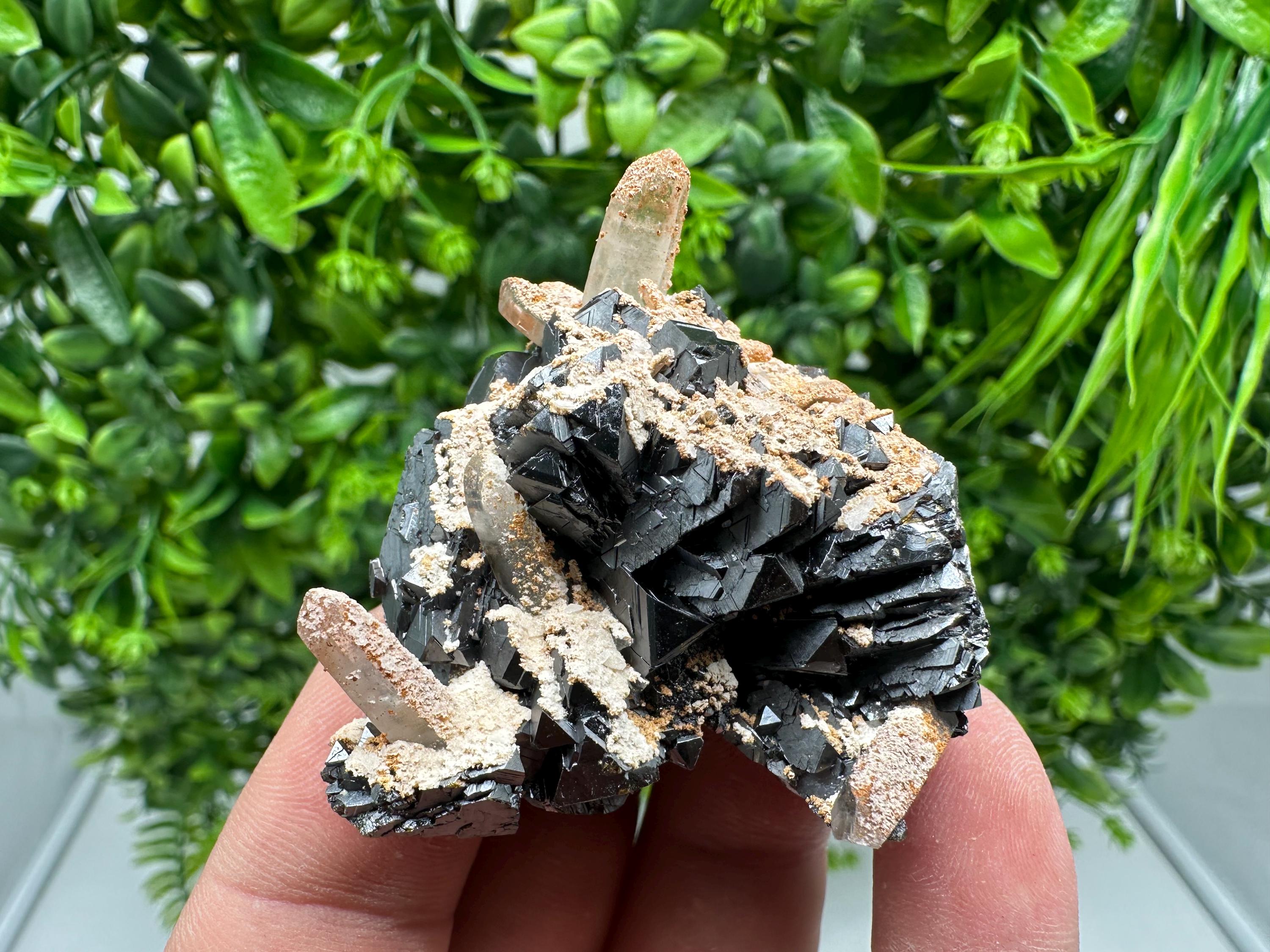 Wonderful Sphalerite Chalcopyrite on Green Quartz whit Hematite feom 9 th September mine,Bulgaria,natural,collection mineral specimen,gift
