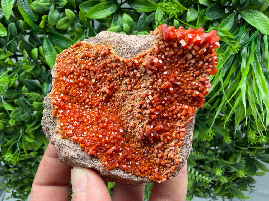 Red Vanadinite on Matrix from Marocco,crystal minerals Speciment cluster Vanadinite crystal Vanadinite Geology Vanadinite cluster minerals