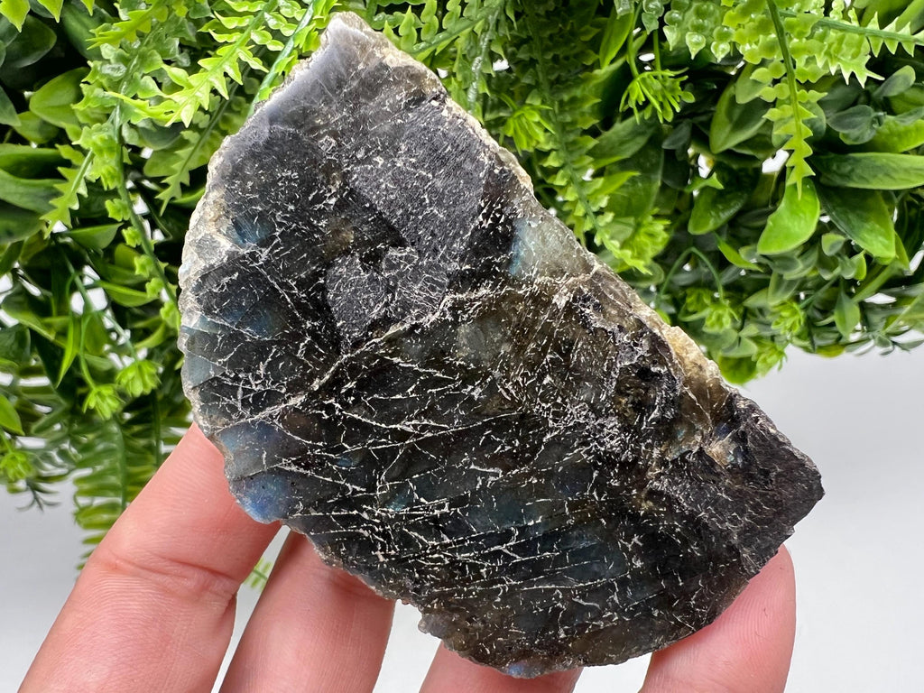 Polished Labradorite Slab: Multifire Crystal Decor - 118 Grams